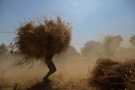 علاء القصاص