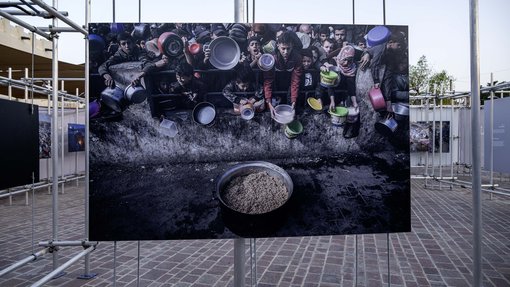 Hasan Zaidi, Courtesy of Qatar Museums