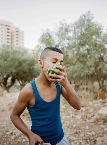 Adam Rouhana_A Lion's Watermelon, 2022, 80x100cm