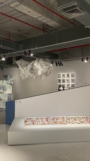 Interior view of a temporary exhibition at the Garage Gallery