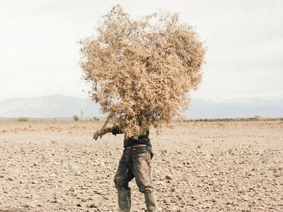 M'hammad Kilito, 'Before It's Gone'