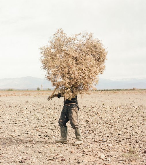 M'hammad Kilito, 'Before It's Gone'