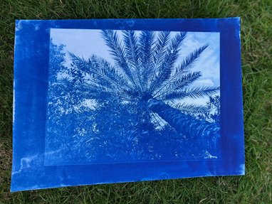 Making Cyanotypes with Nadia Dada 1