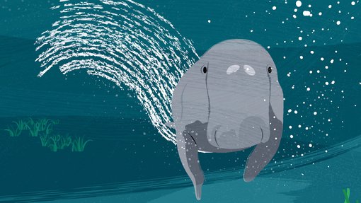 An Illustration showing a dugong's face