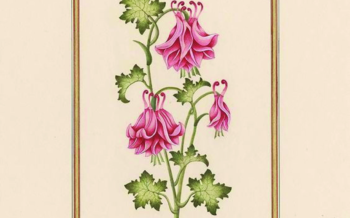 A vintage-style painting of a pink flower hanging low from green leafy branches with a gold border on the side