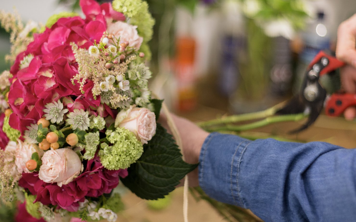 flowers with a hand reaching towards it