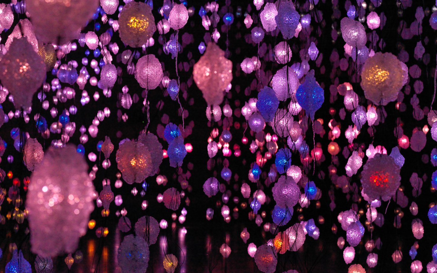 Artwork by Pipilotti Rist of hanging lights in pink, purple and blue