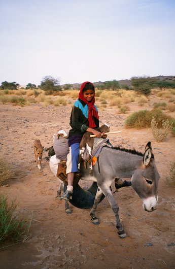 A little girl in colourful clothing riding a donkey and behind her, a dog follows.