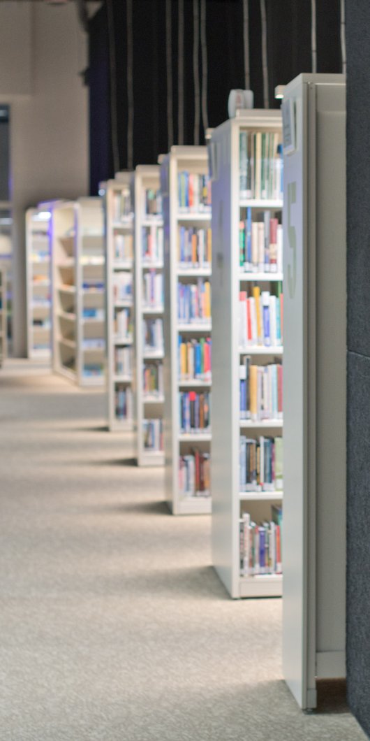 Rows of books are seen in stacked shelves.