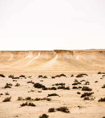 A landscape view of the cliff showing its edges towering above land