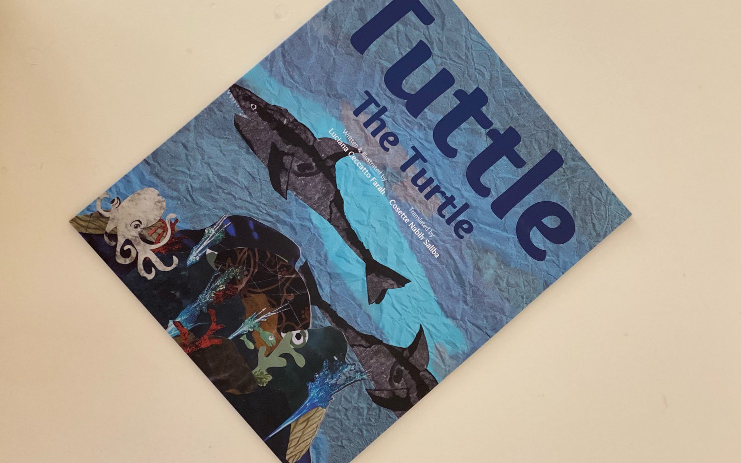 Book cover of Tuttle the Turtle written and illustrated by Luciana Ceccatto Farah