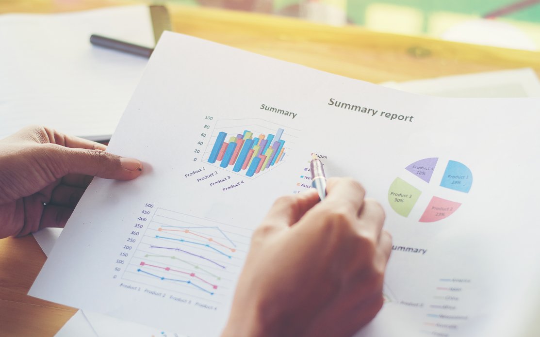Profit and Loss Sheet and Summary Report